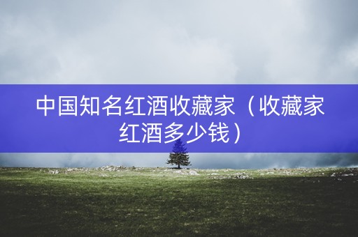 中国知名红酒收藏家（收藏家红酒多少钱）