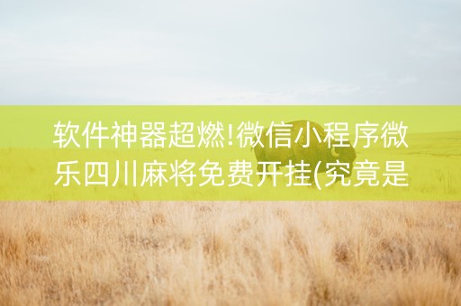 软件神器超燃!微信小程序微乐四川麻将免费开挂(究竟是不是有挂)