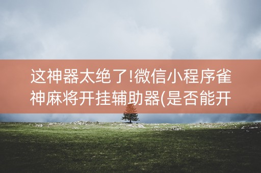 这神器太绝了!微信小程序雀神麻将开挂辅助器(是否能开挂)