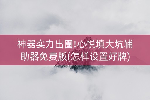 神器实力出圈!心悦填大坑辅助器免费版(怎样设置好牌)