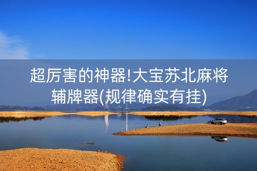 超厉害的神器!大宝苏北麻将辅牌器(规律确实有挂)