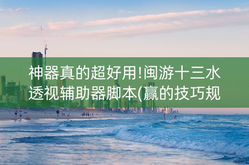 神器真的超好用!闽游十三水透视辅助器脚本(赢的技巧规律)