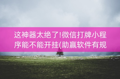 这神器太绝了!微信打牌小程序能不能开挂(助赢软件有规律吗)