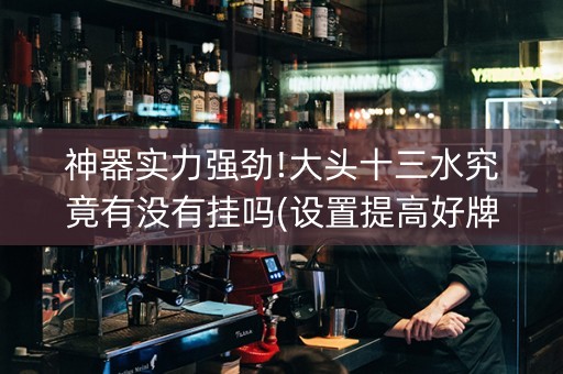 神器实力强劲!大头十三水究竟有没有挂吗(设置提高好牌几率)