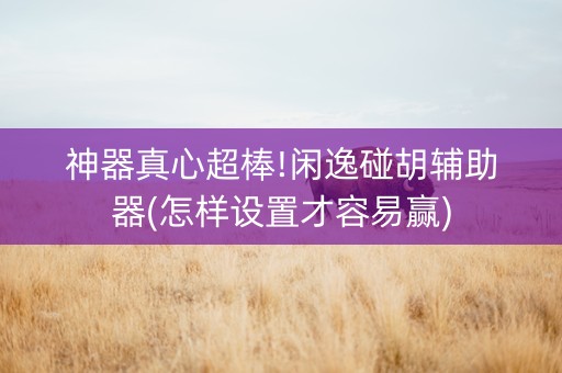 神器真心超棒!闲逸碰胡辅助器(怎样设置才容易赢)