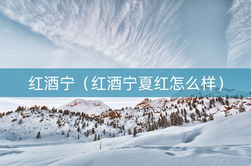 红酒宁（红酒宁夏红怎么样）