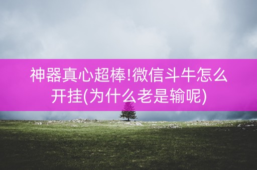 神器真心超棒!微信斗牛怎么开挂(为什么老是输呢)