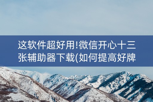 这软件超好用!微信开心十三张辅助器下载(如何提高好牌几率)