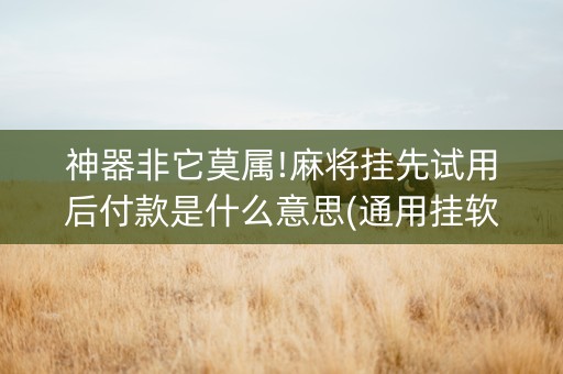 神器非它莫属!麻将挂先试用后付款是什么意思(通用挂软件多少钱)