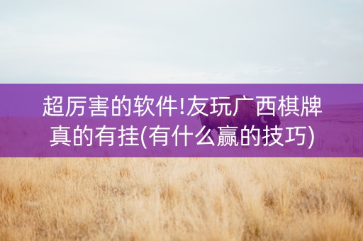 超厉害的软件!友玩广西棋牌真的有挂(有什么赢的技巧)