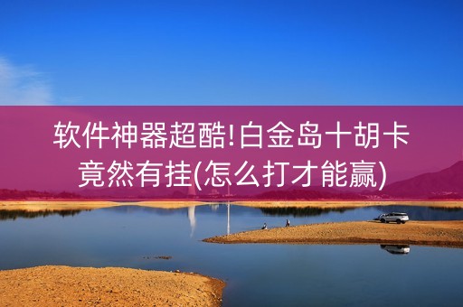 软件神器超酷!白金岛十胡卡竟然有挂(怎么打才能赢)