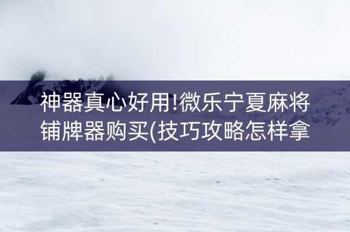 神器真心好用!微乐宁夏麻将铺牌器购买(技巧攻略怎样拿好牌)