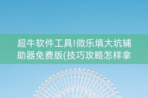 超牛软件工具!微乐填大坑辅助器免费版(技巧攻略怎样拿好牌)