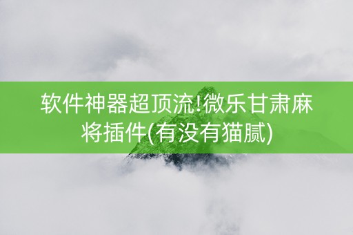 软件神器超顶流!微乐甘肃麻将插件(有没有猫腻)