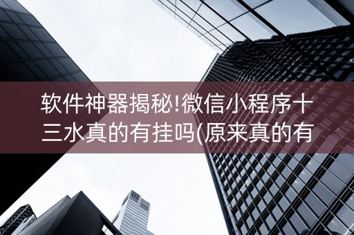 软件神器揭秘!微信小程序十三水真的有挂吗(原来真的有挂)