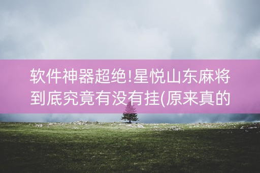 软件神器超绝!星悦山东麻将到底究竟有没有挂(原来真的有挂)