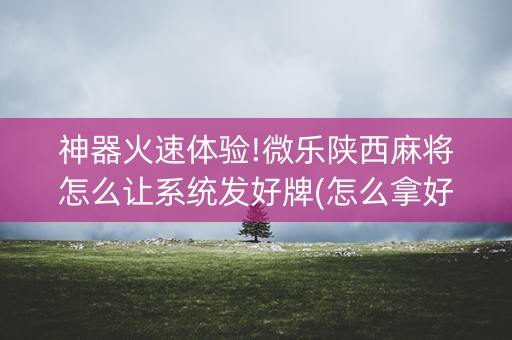 神器火速体验!微乐陕西麻将怎么让系统发好牌(怎么拿好牌)