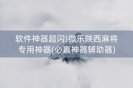 软件神器超闪!微乐陕西麻将专用神器(必赢神器辅助器)