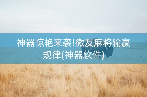 神器惊艳来袭!微友麻将输赢规律(神器软件)