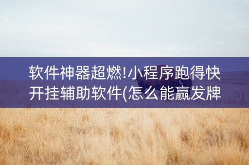 软件神器超燃!小程序跑得快开挂辅助软件(怎么能赢发牌规律)