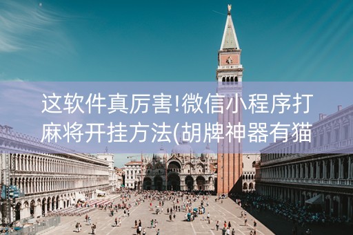 这软件真厉害!微信小程序打麻将开挂方法(胡牌神器有猫腻吗)