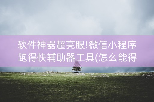 软件神器超亮眼!微信小程序跑得快辅助器工具(怎么能得到好牌)