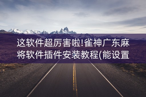 这软件超厉害啦!雀神广东麻将软件插件安装教程(能设置输赢吗)