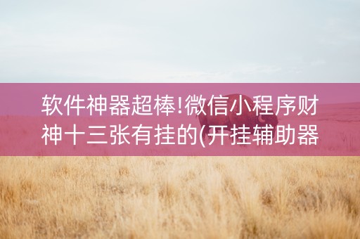 软件神器超棒!微信小程序财神十三张有挂的(开挂辅助器插件)