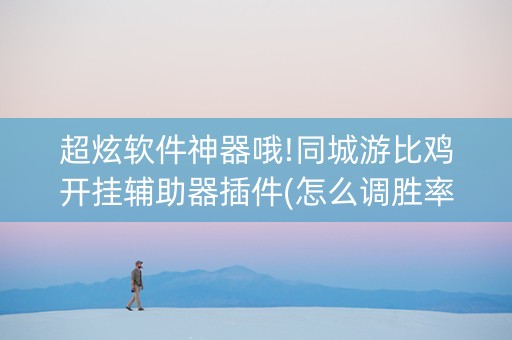 超炫软件神器哦!同城游比鸡开挂辅助器插件(怎么调胜率)