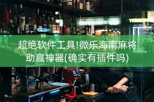 超绝软件工具!微乐海南麻将助赢神器(确实有插件吗)