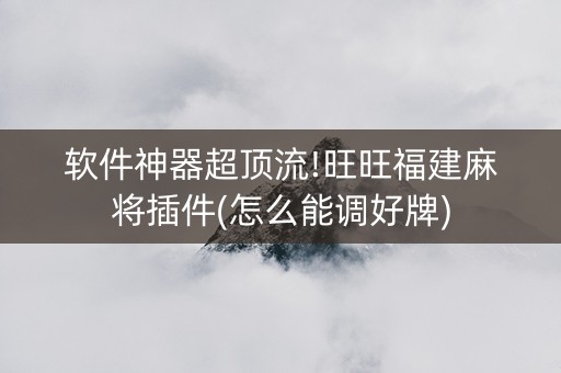软件神器超顶流!旺旺福建麻将插件(怎么能调好牌)