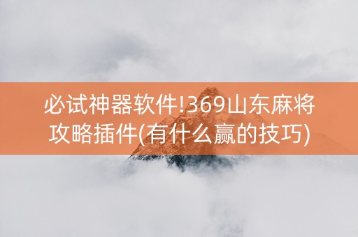 必试神器软件!369山东麻将攻略插件(有什么赢的技巧)