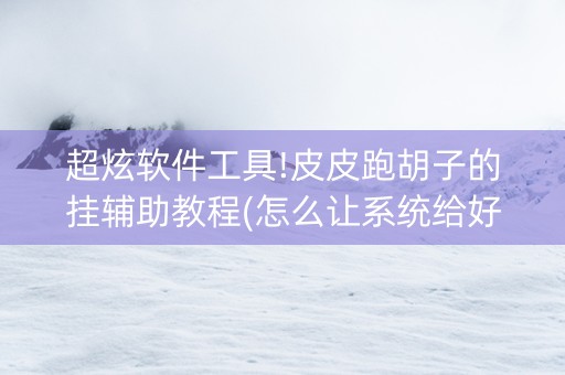 超炫软件工具!皮皮跑胡子的挂辅助教程(怎么让系统给好牌)