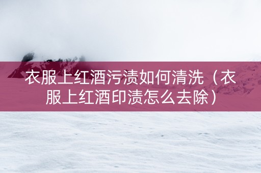 衣服上红酒污渍如何清洗（衣服上红酒印渍怎么去除）