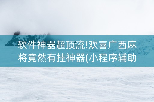 软件神器超顶流!欢喜广西麻将竟然有挂神器(小程序辅助软件)