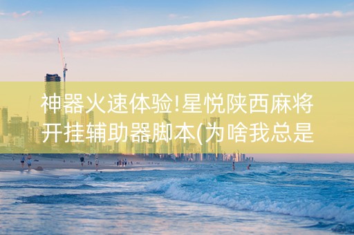 神器火速体验!星悦陕西麻将开挂辅助器脚本(为啥我总是输)