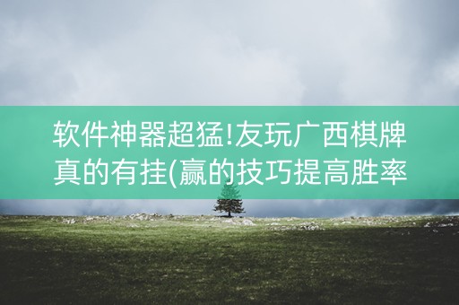 软件神器超猛!友玩广西棋牌真的有挂(赢的技巧提高胜率)