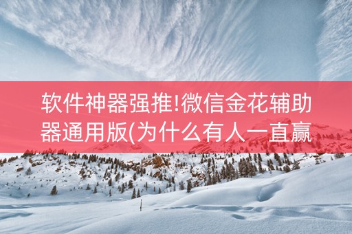 软件神器强推!微信金花辅助器通用版(为什么有人一直赢)