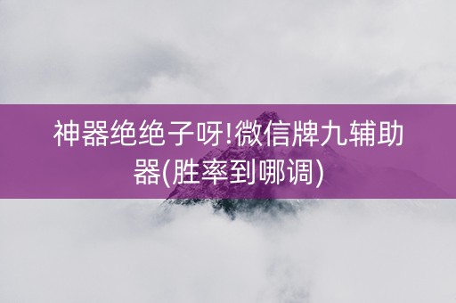 神器绝绝子呀!微信牌九辅助器(胜率到哪调)