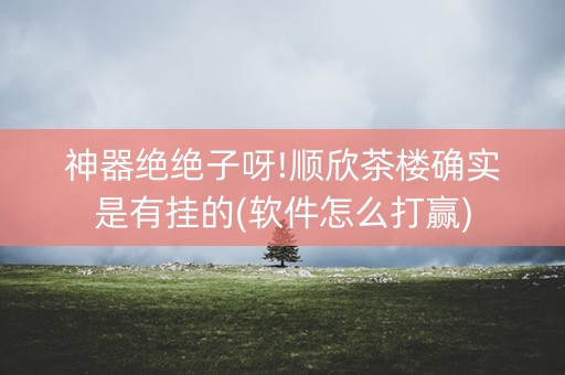 神器绝绝子呀!顺欣茶楼确实是有挂的(软件怎么打赢)