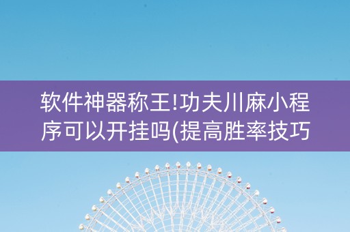 软件神器称王!功夫川麻小程序可以开挂吗(提高胜率技巧)