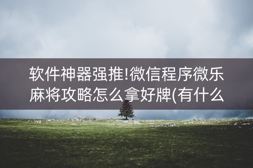软件神器强推!微信程序微乐麻将攻略怎么拿好牌(有什么能赢的方法)