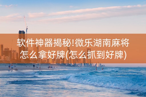 软件神器揭秘!微乐湖南麻将怎么拿好牌(怎么抓到好牌)