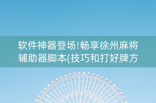 软件神器登场!畅享徐州麻将辅助器脚本(技巧和打好牌方法)