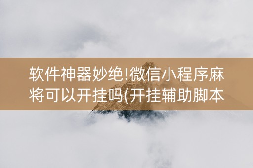 软件神器妙绝!微信小程序麻将可以开挂吗(开挂辅助脚本)