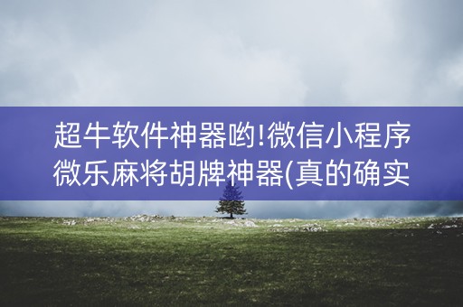 超牛软件神器哟!微信小程序微乐麻将胡牌神器(真的确实是有挂)