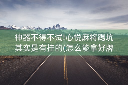 神器不得不试!心悦麻将踢坑其实是有挂的(怎么能拿好牌)