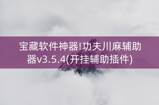宝藏软件神器!功夫川麻辅助器v3.5.4(开挂辅助插件)