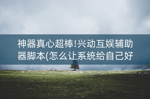 神器真心超棒!兴动互娱辅助器脚本(怎么让系统给自己好牌)