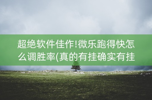 超绝软件佳作!微乐跑得快怎么调胜率(真的有挂确实有挂)